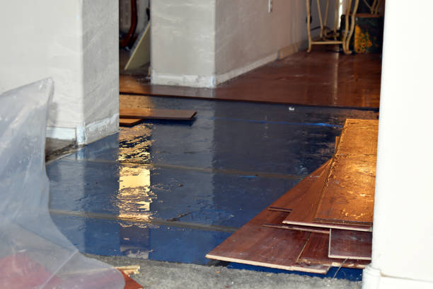 Professional Sewage Cleanup technician working in Sealy, TX